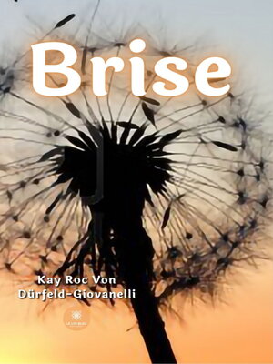 cover image of Brise